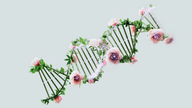 The Future of Intelligence: Connecting the Dots Like Nature Does
