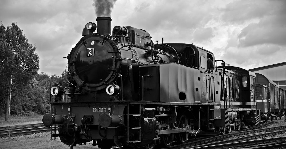 The Steam Engine Debate: Balancing Progress with Caution